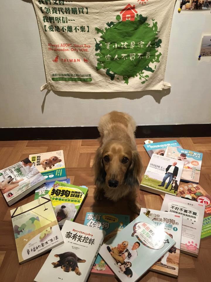 【圖片四，為小賴而買的書】