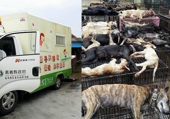 嘉義動保專車悶死犬案引起民眾憤怒，超過50萬人連署要求動保法加重刑責。　　護生園/提供