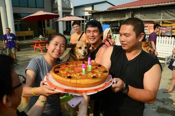 動保志工吳鳳珠生日在即,請親朋好友把送給自己的生日禮物轉換成浪浪的飼料! 吳鳳珠/提供