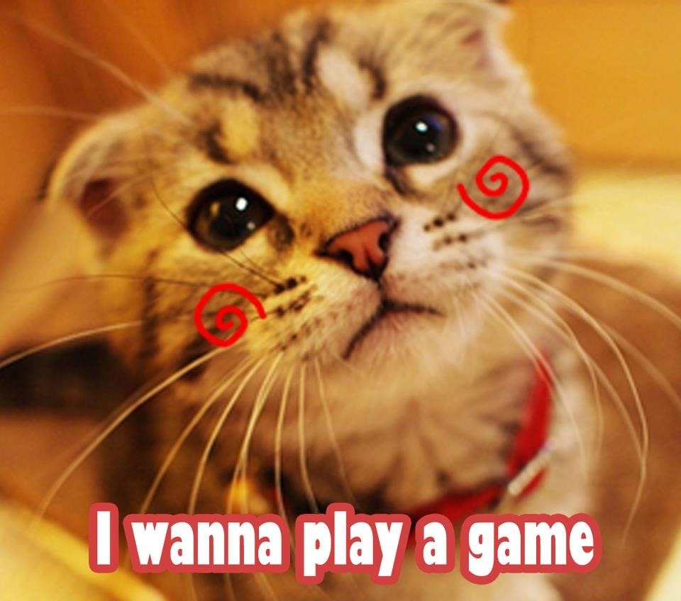 主人我也好想參加寵物迷宮哦！一起去嘛！　取自「愛Pet日記」