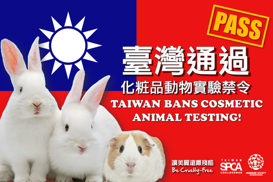 台灣化妝品業者，將不得再對成品、原料進行動物實驗。　TSPCA/提供