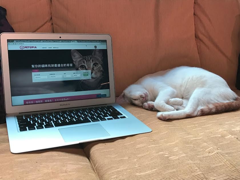 貓咪住得開心不開心,飼主別忘了留下評價,供其他飼主參考。 Petopia/提供