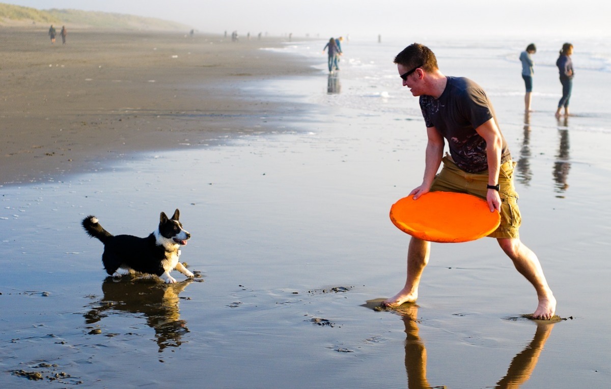 無論玩什麼玩具,都要有主人的陪伴。 示意圖/取自網路