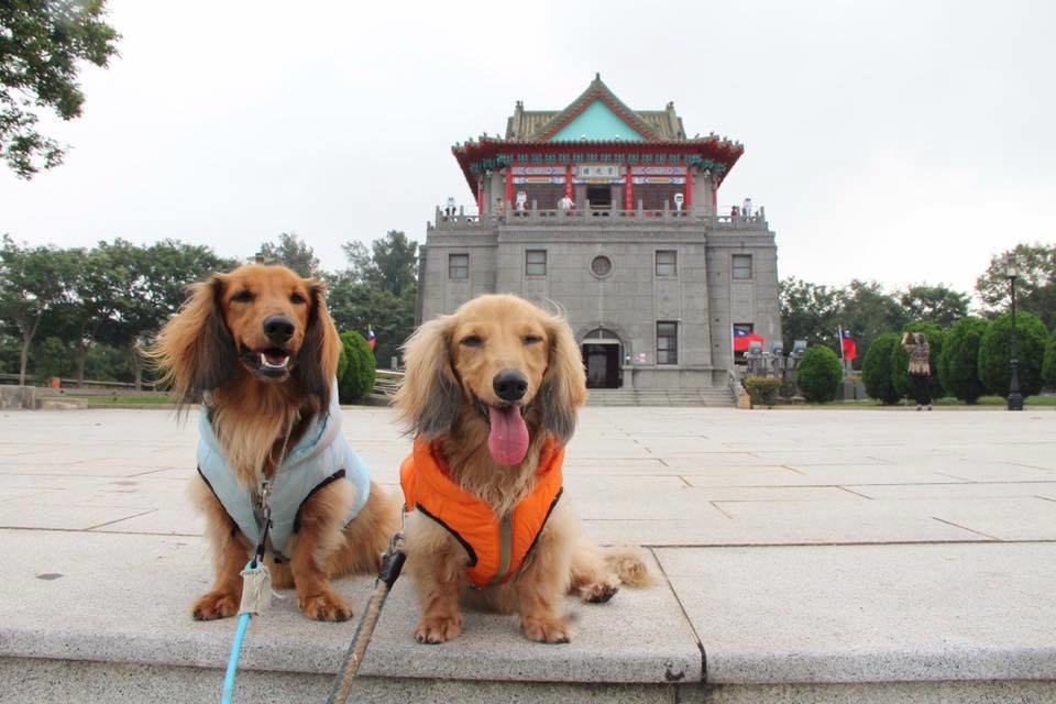 【圖片五，帶著小乙小賴去金門】