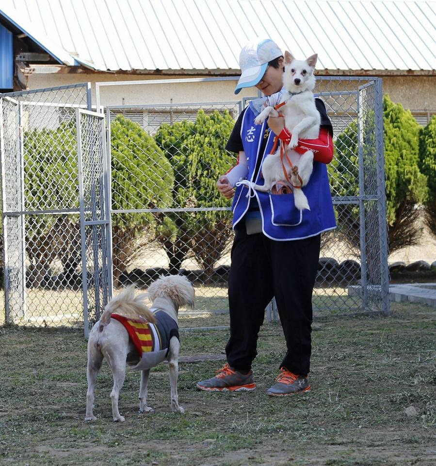 白狗被棄養在寵美店，拍照時園狗Luna(下)也來湊熱鬧。　安東尼/提供