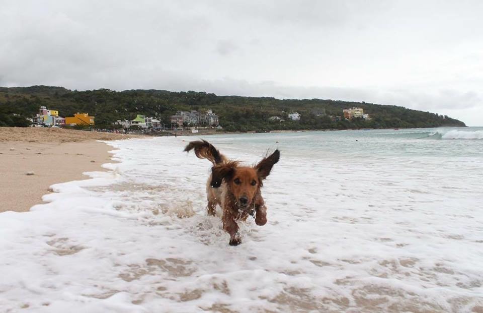 【圖片六，踏浪的小乙】