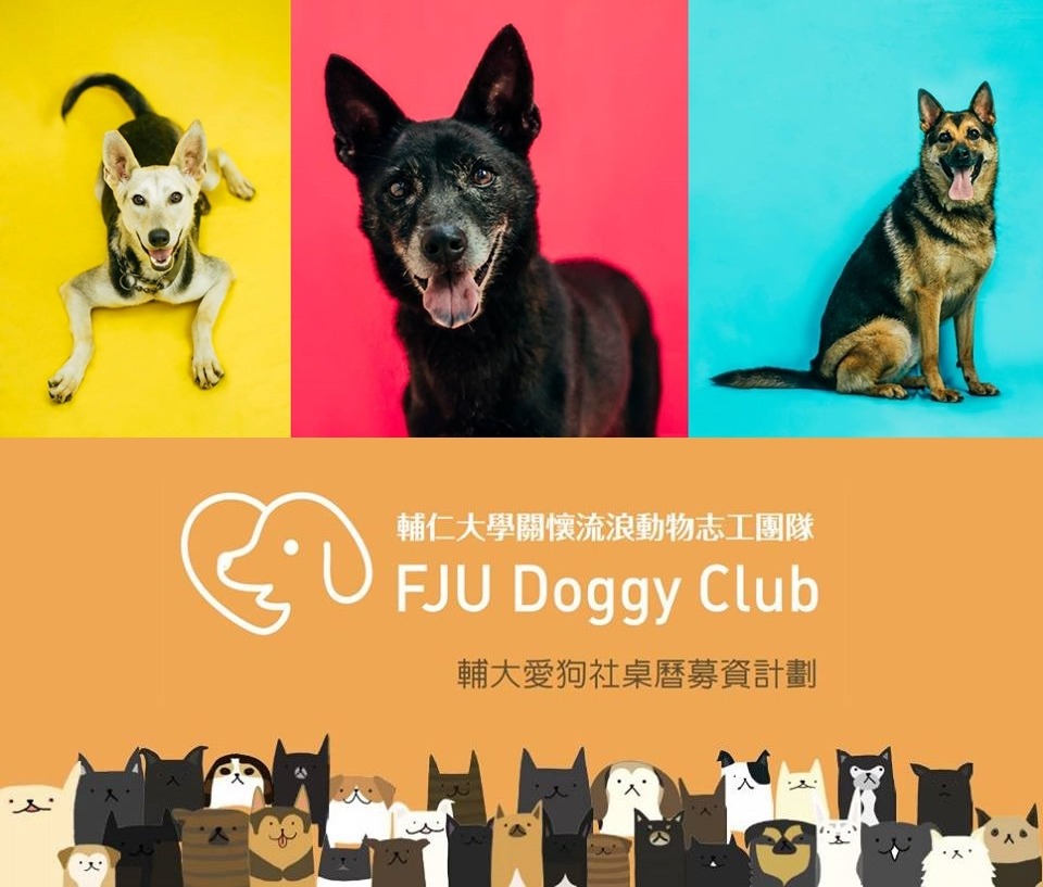 想看更多隱藏版校犬,請購買愛狗社桌曆! 輔大愛狗社/提供