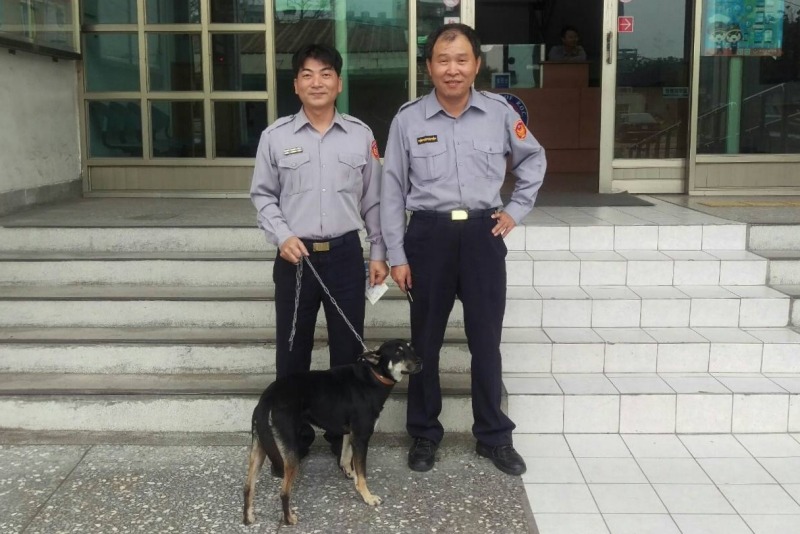 所內同仁都很期待土豆歸隊！    張勝記/提供