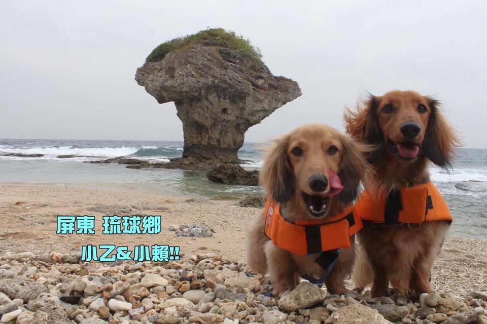 【圖片七，穿救生衣的小乙小賴】