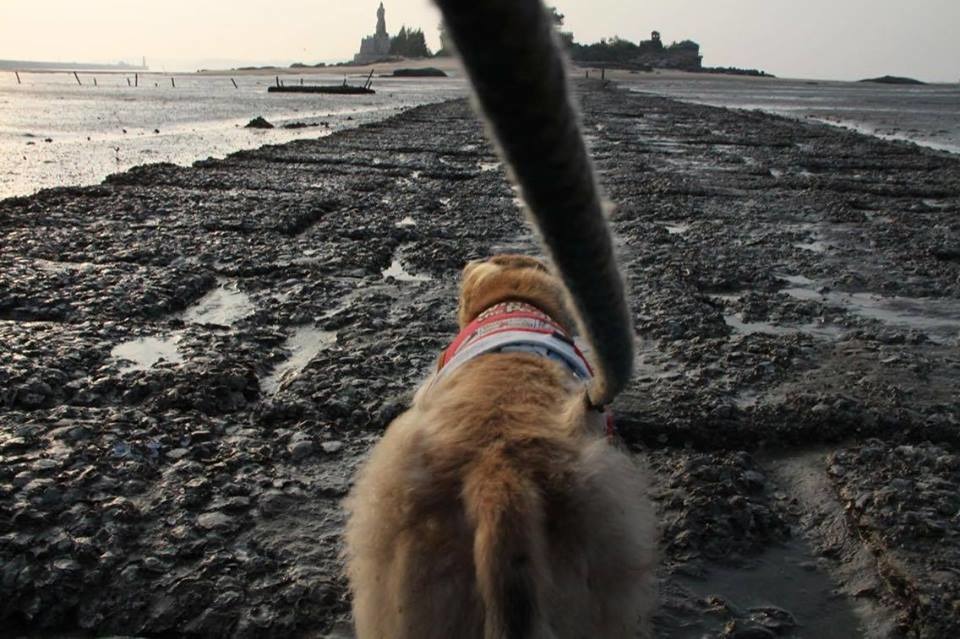 【圖片八，冥冥之中小賴帶領我們做了好多事】