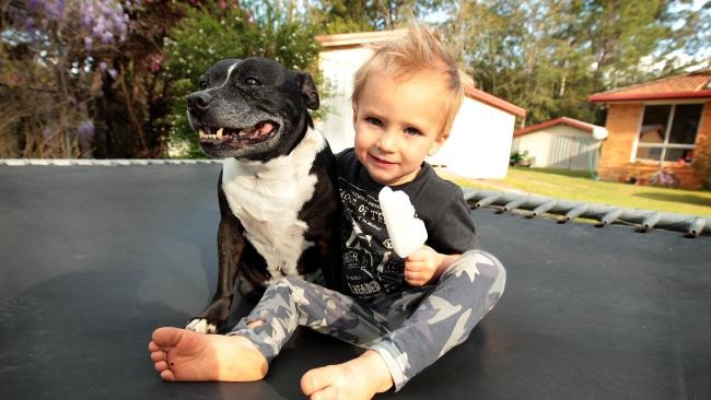 亞歷山大因腦中有血塊,仍需長時間的觀察,但整體來說復原狀況良好。 取自《Daily Telegraph》