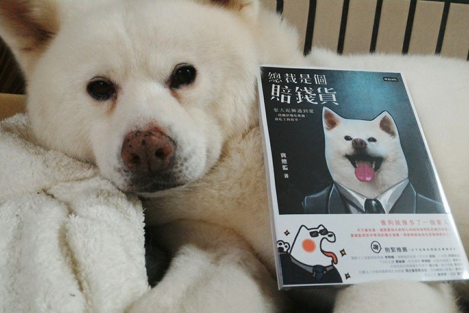 「總裁是個賠錢貨」預購的1500本，約24小時就盡數被搶空。登上博客來「生活風格」類別的榜首。　取自秋田犬泥褲總裁