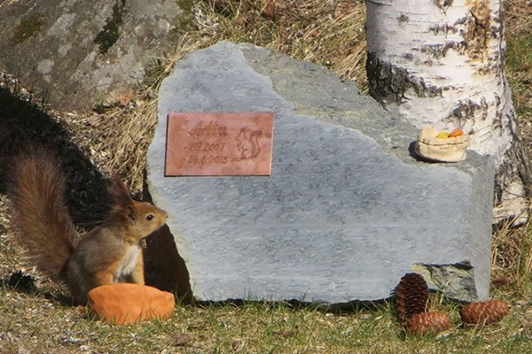 家人幫松鼠做了墳墓,還放食物餵食其他松鼠。 取自mameradipsy.cz