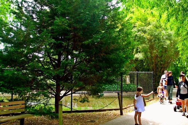 善待動物組織（PETA）批評，在動物園或其他動物展市場所中，這種致命疏失很常見。圖為亞歷山卓動物園。　Flickr_Paul Barbee