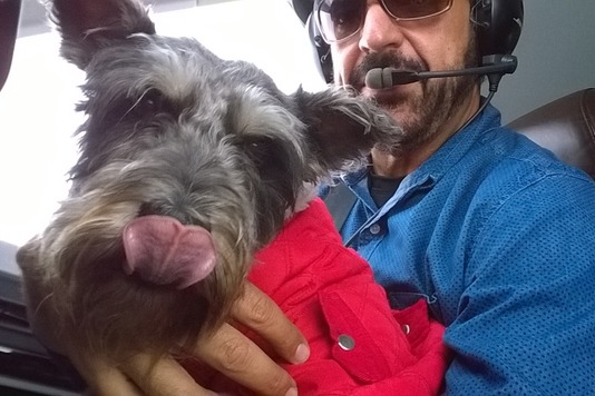 志工飛行員出動飛機和人力,載狗狗飛到有足夠收容空間的地區。 取自英國《每日郵報》