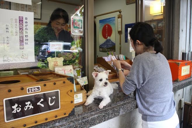 BiBi在日本留下了許多可愛的照片。　李小姮提供