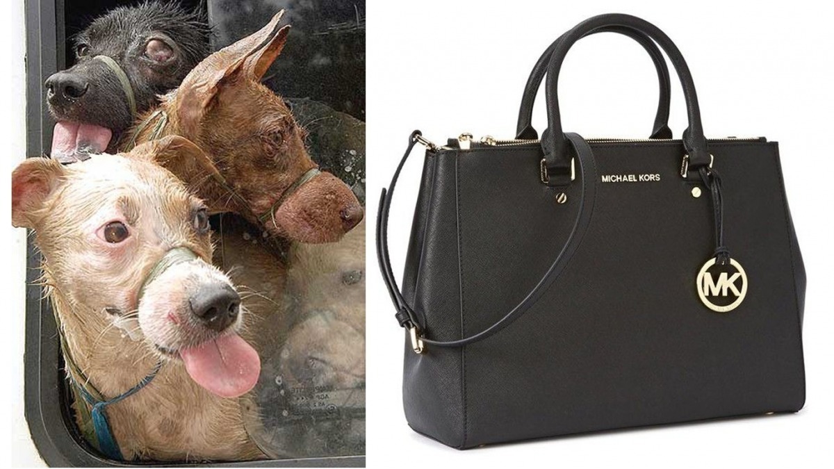 連署發起人Jerald Marrero表示，Michael Kors大部分的皮製品皆在中國製作，這代表這些產品很可能有狗皮製成。　取自dailypetition.com