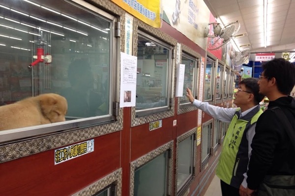 業者自2個月前不再買進犬貓活體，將現有犬貓或賣、或送養逐步「清空」，把展售櫥窗留給等待有緣人的浪浪。　桃園市推廣動物保護協會/提供