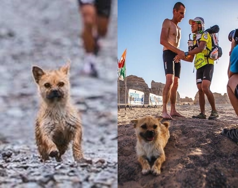 圖右黃上衣者為陳彥博，圖左為陳彥博拍下的照片。　取自Bring Gobi Home、陳彥博 Tommy Chen