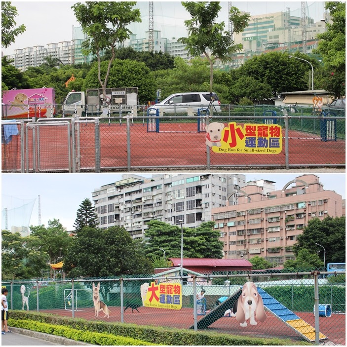 板橋動物之家設有對外開放的寵物公園，飼主可帶毛小孩來玩樂。　黃靖雅/攝