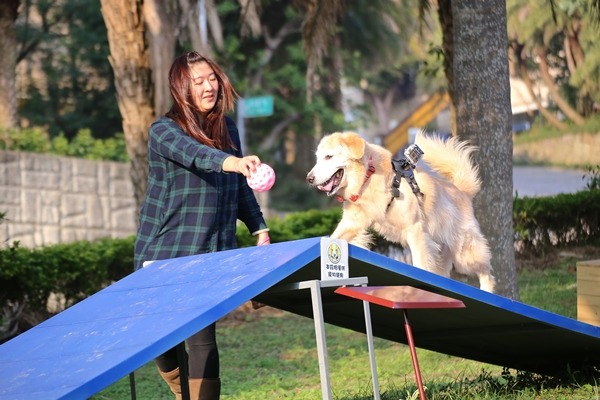 東森山林渡假酒店規劃戶外活動區,設施比照國際敏捷犬賽事規格。 東森山林渡假酒店/提供