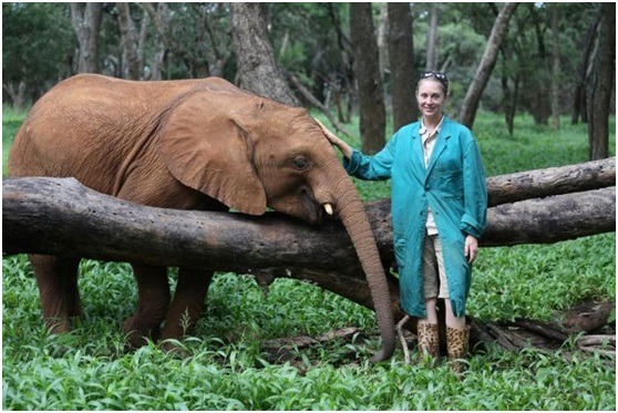 Rachael Murton在尚比亞投入照顧幼象的任務。 取自網路