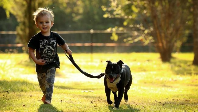 9歲的蕾拉是亞歷山大最好的玩伴,也是他的救命恩人。 取自《Daily Telegraph》