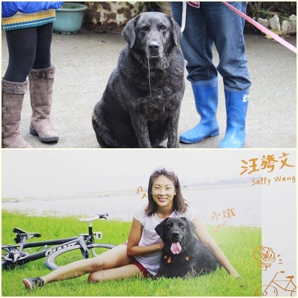 重量級的小鐵曾拍攝運動X動保桌曆。　李娉婷/攝