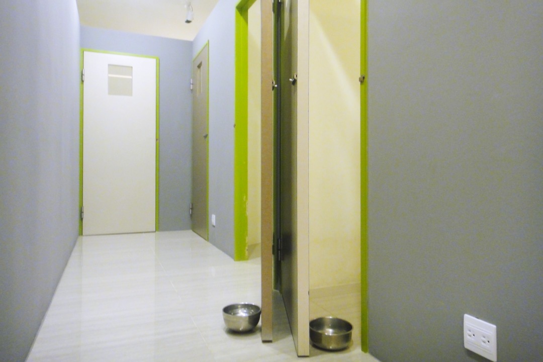 中途狗狗專屬住宿空間。 江幸芸/攝