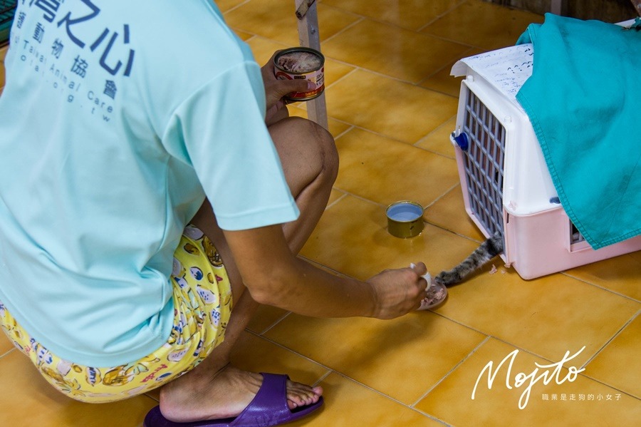 團隊不止絕育，術後照顧也很用心。　Mojito/提供