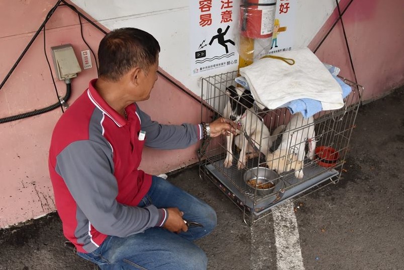 隊員能從照顧平平與安安的過程中獲得成就感。  台中市南屯區清潔隊/提供