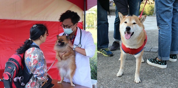 獸醫師義診和免費寵物溝通是最受歡迎的攤位。 黃靖雅/攝