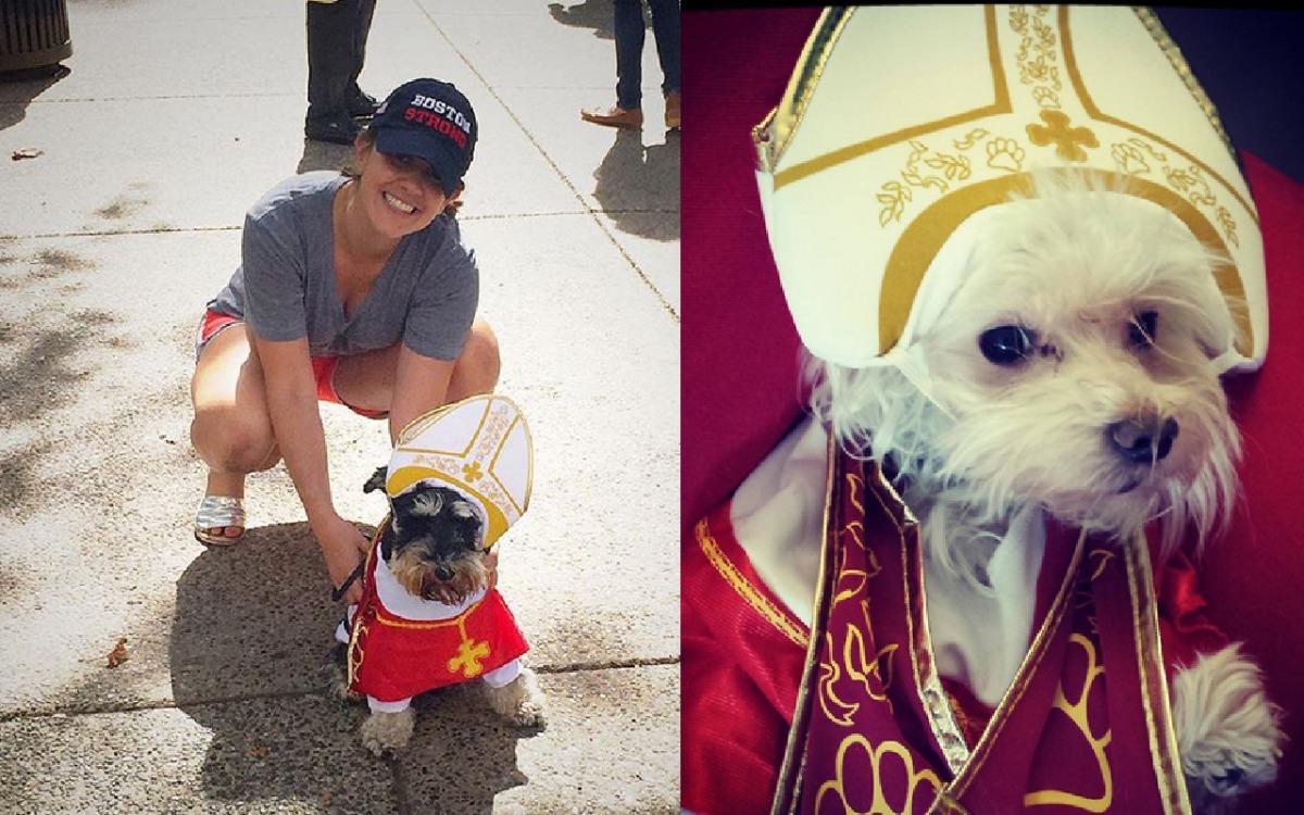 這陣教宗犬風潮正盛，你也可以幫你家的狗狗打扮哦！　取自Instagram:schnauzergonnaschnauze、alicesun79