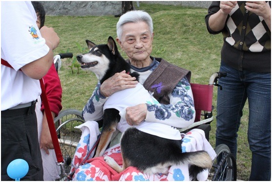 狗醫生與老太太。 台灣狗醫師協會/攝