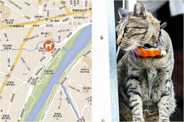 3C達人認為功能最好的是GPS項圈配件，再遠都能追蹤，但售價是藍牙項圈的好幾倍，難以普及。　iPet愛寵/提供
