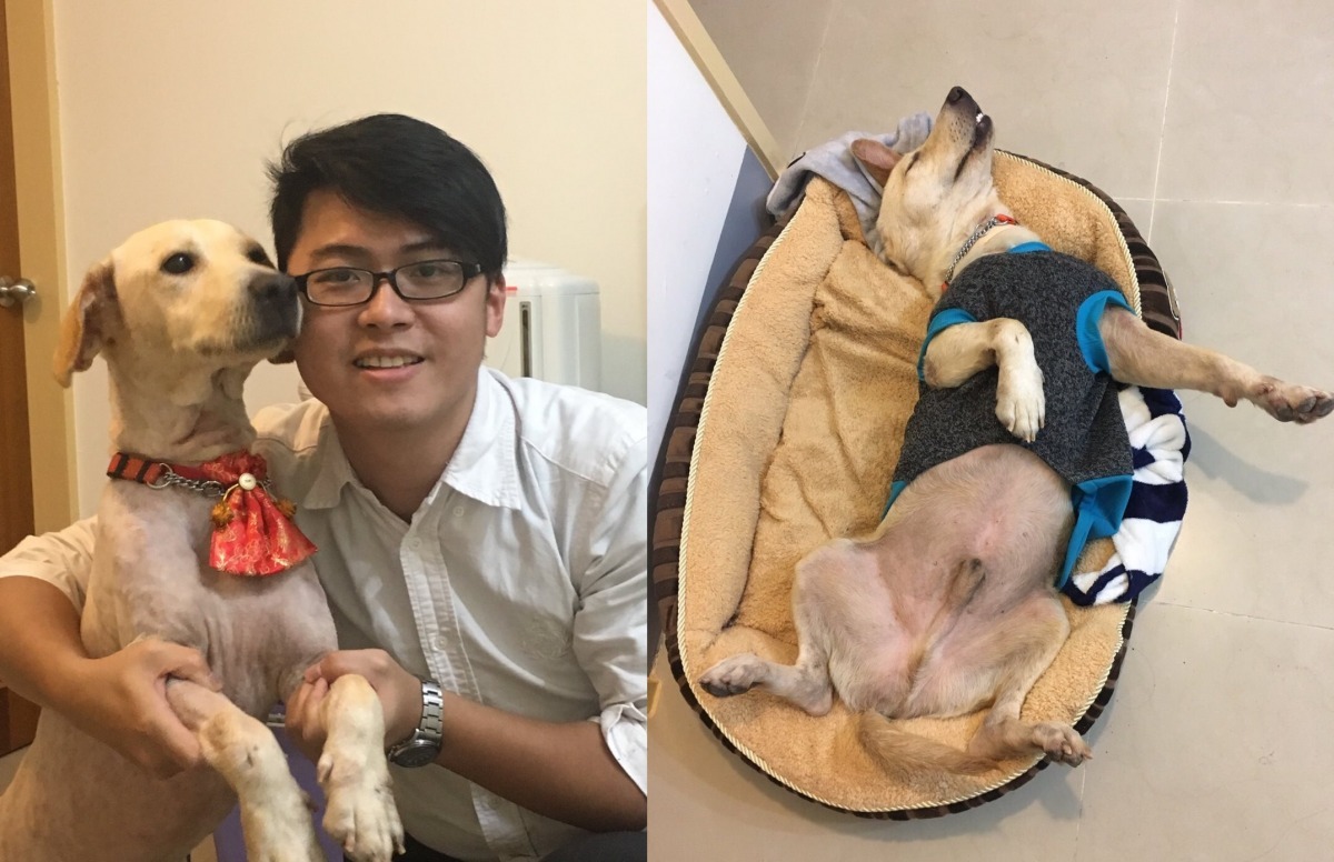 Honey現在過得超幸福哦！　翻轉吧汪仔/提供