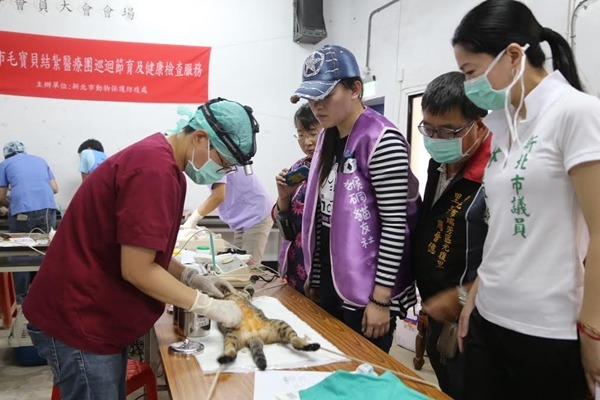 新北市議員到場查看猴硐絕育活動，當地光復里里長也帶領居民、志工幫忙。　新北市動保處/提供