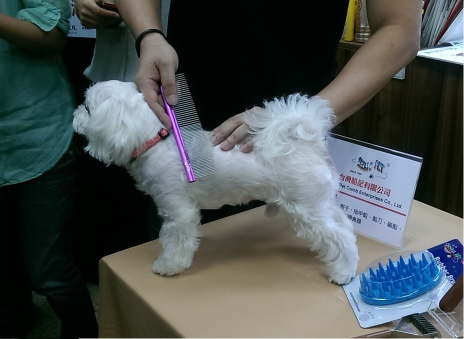 台灣船記有限公司將在亞洲寵物展覽會上，展示眾多精緻的寵物梳、寵物刷。　黃靖雅/攝