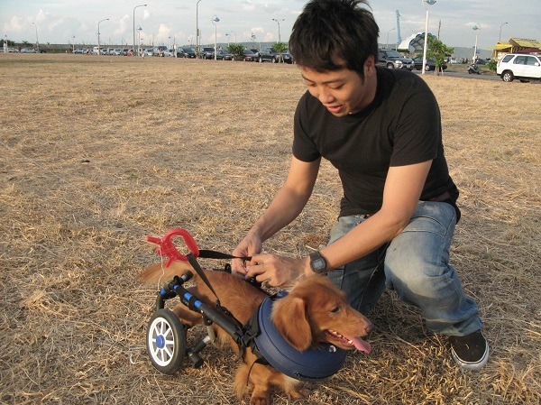 犬輪會社老闆傅凱倫說，提供合理價格的犬輪椅，造福更多癱狗。傅凱倫/提供