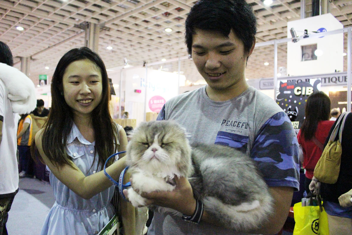 不畏滿場狗狗，「噗噗」超淡定。　李娉婷/攝