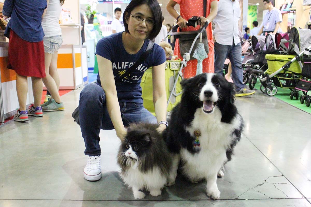 「雅安」（貓）、「雪兒」（狗）是一家人，吃睡都在一起，連長相都很相似！　李娉婷/攝