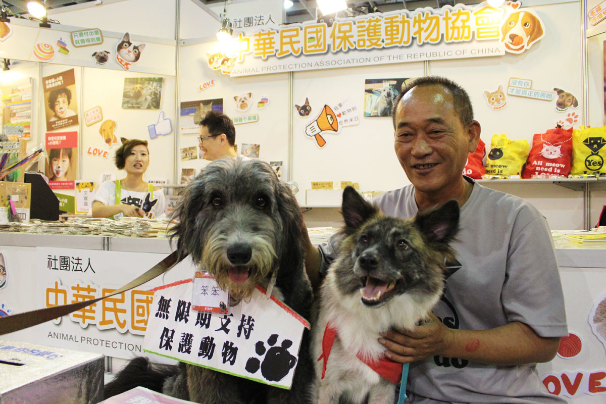 中華民國保護動物協會公關狗「笨笨」（左）和「姑娘」（右）留守攤位招客。 李娉婷/攝