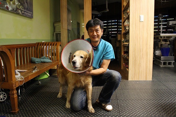 台北市獸醫師公會理事長楊靜宇表示，過去也曾碰過不少家暴寵物案例。　何宜/攝