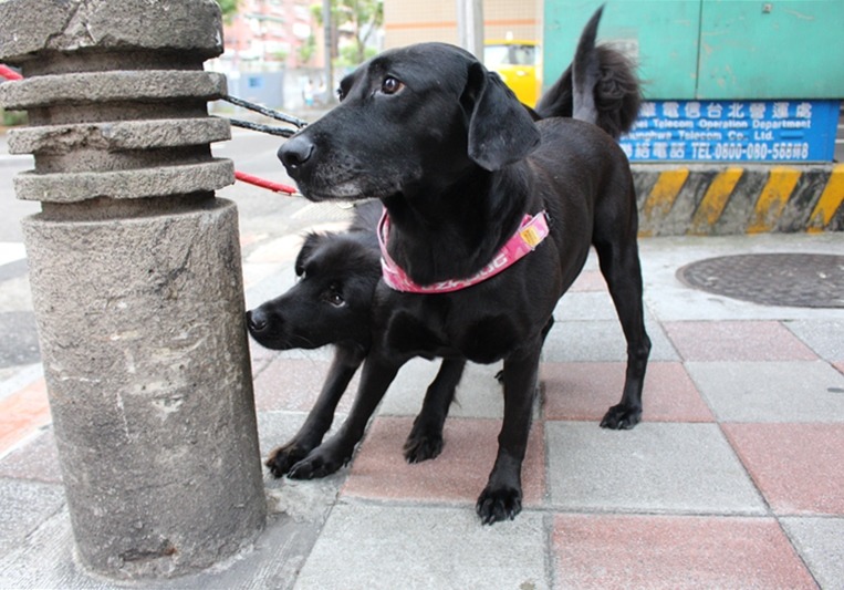 「出門就是要到處聞聞！」　黃靖雅/攝