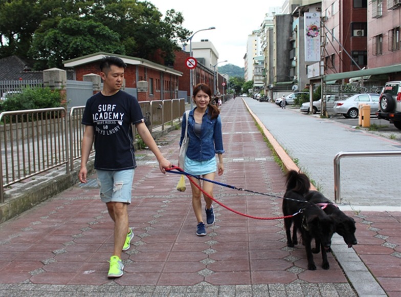 雖然原本就知道公關犬都有經過訓練，但呆呆、芝麻的表現仍超出蔡小姐和她老公的預期。　黃靖雅/攝