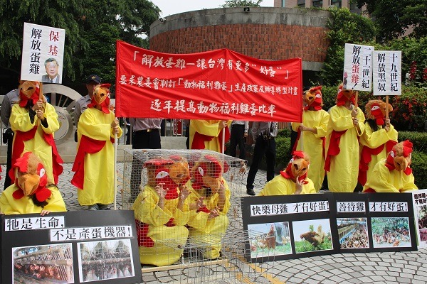 數名中原大學學生扮成蛋雞，呼籲政府應早日禁止格子籠的飼養方式。 　陳珊珊/攝