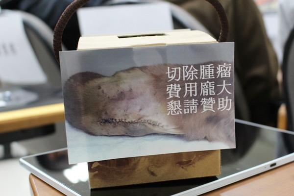 張洵宜的媽媽做了募款的小盒子。　李娉婷/攝