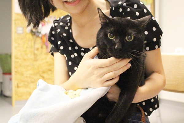 黑嘉麗來到諾亞方舟幾個月了,但仍喜歡待在自己的箱子裡。 江幸芸/攝