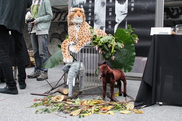 台灣動物平權促進會去年發表《動物不是娛樂》三部曲後，就展開全台巡迴講座。　江幸芸/攝