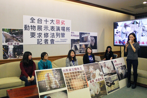 台灣防止虐待動物協會（TSPCA）和台灣動物平權促進會針對展演動物福利，調查全台36家動物展演場所，今公布情況最惡劣的前10名，呼籲政府修法列管所有動物展演業者。　江幸芸/攝